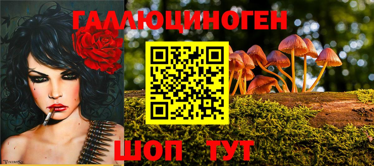 Галлюциногенные грибы Psilocybine cubensis Добрянка